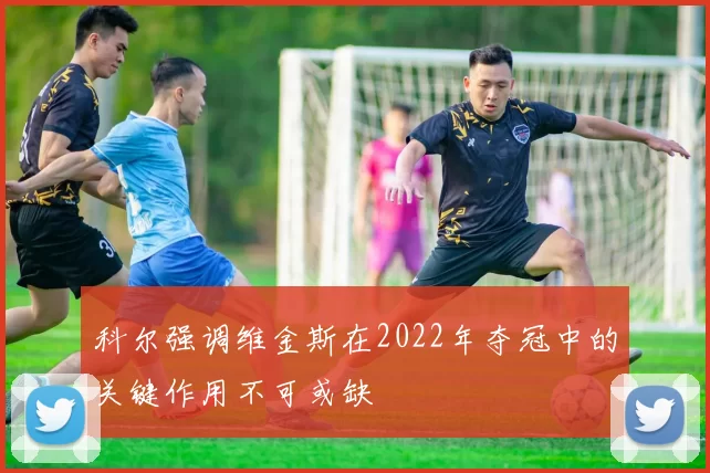 科尔强调维金斯在2022年夺冠中的关键作用不可或缺
