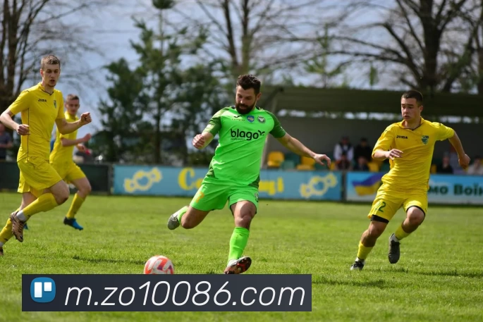 中欧体育平台生态图